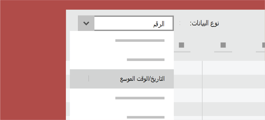 إظهار نوع بيانات Access