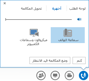 لقطة شاشة لعناصر التحكم بالمكالمات الصوتية