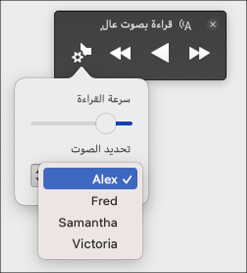 أربعة خيارات تحديد صوت معروضة لميزة "القراءة بصوت عال" للقارئ الشامل