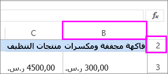 عمود وصف أول مخفيان