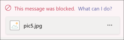 تم حظر رسالة تحتوي على مرفق صورة لاحتواء محتوى غير مناسب. يتم تمييز الرسالة باللون الأحمر وتقول "تم حظر هذه الرسالة بواسطة النهج التنظيمي"