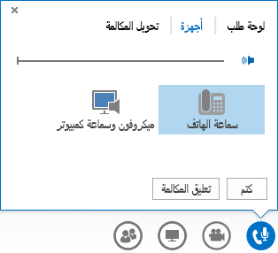 لقطة شاشة لخيارات الصوت