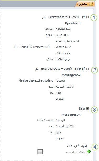 ماكرو يحتوي على جملة If/Else If/Else.