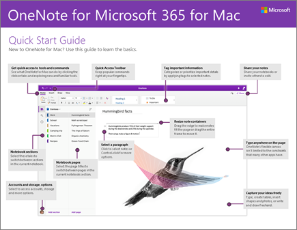 دليل البدء السريع لـ OneNote 2016 for Mac