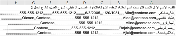 مثال لملف csv. تم حفظه بتنسيق xls..