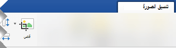 الخيار اقتصاص على علامة التبويب تنسيق الصورة في Word 2019.