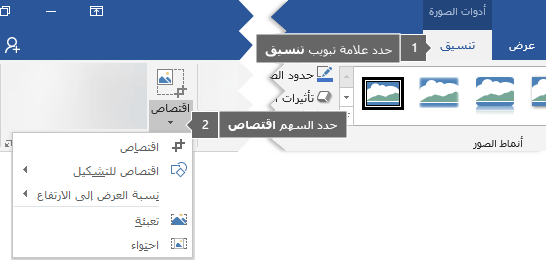 الزر "اقتصاص" في علامة التبويب "تنسيق" ضمن "أدوات الصورة"