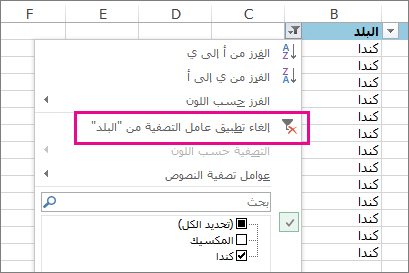 الزر "إلغاء تطبيق عامل التصفية"