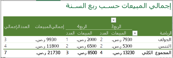 PivotTable