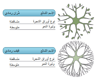 بيانات رسومات تعرض البيانات الخاصة بشكلين في الوقت نفسه.