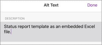 مربع الحوار نص بديل لملف مضمن في OneNote for iOS.