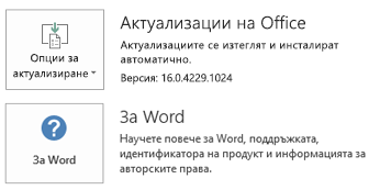 Когато Office е инсталиран с технологията "Кликни и стартирай" информацията за "Приложение" и "Актуализиране" изглежда така.