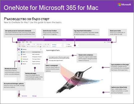 Ръководство за бърз старт в OneNote 2016 for Mac