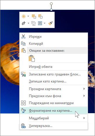 Екранна снимка на опциите на "Форматиране на картина" в Publisher.