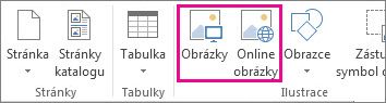 Snímek obrazovky s možnostmi vložení obrázků na kartě Vložení v Publisheru