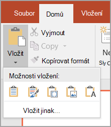 Výběr možnosti Vložit jinak