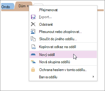 Přidejte nový oddíl v OneNotu.