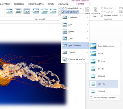 Pomocí možnosti Efekty obrázků můžete přidat stín, měkké okraje, zkosení nebo jiné vizuální efekty.