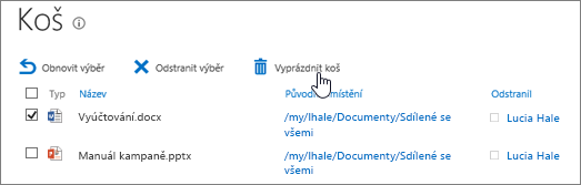 Vyprázdnění všech položek z koše