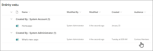 Obrázek seznamu stránek webu Druhá položka je zpravodajský příspěvek. Ve sloupci Cílová skupina je uvedeno Členové společnosti Contoso.