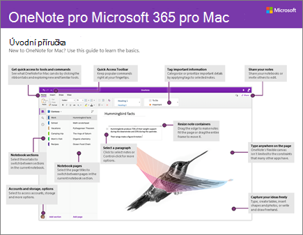 OneNote 2016 pro Mac – úvodní příručka