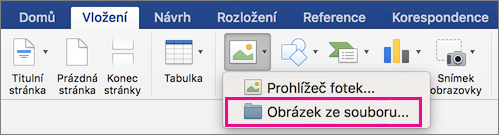 Na kartě Vložení je zvýrazněná možnost Obrázek ze souboru.