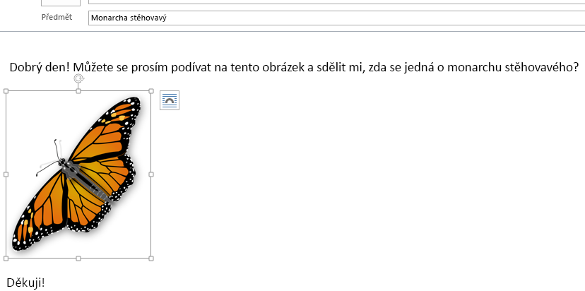 Obrázek je teď ve vaší zprávě.