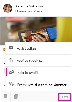 Zjištění, kdo dokument vidí