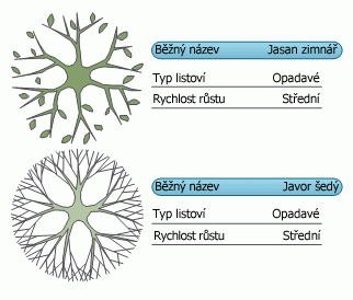 Datové symboly zobrazují data dvou obrazců najednou.