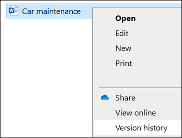 Stifinder menu, herunder indstillingen Versionshistorik.