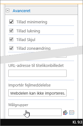 Avanceret afsnit under egenskaber for webdel med målgruppen fremhævet