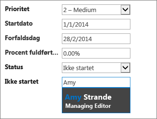 Et søgeresultat fra et autofuldførelsesfelt med et sekundært visningsfelt