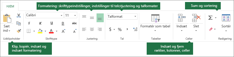 Fanen Hjem med formateringsknapperne klip, kopiér, indsæt; formateringsindstillinger som f.eks. skrifttype, justering og talformater; Indsættelse af rækker/kolonner. Opsummering og sortering