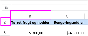 Første kolonne og række, som er skjult