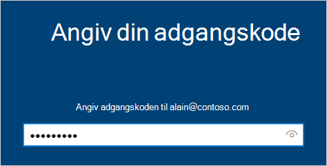 Skærmbilledet Angiv din adgangskode