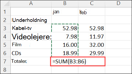 Formlen oprettes ved at klikke på Hjem > Autosum