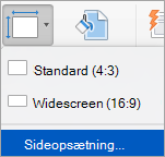 Viser indstillingen Sideopsætning i menuen Slidestørrelse