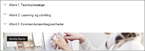 skærmbillede af sektioner, der kan skjules på SharePoint-sider