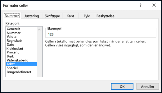 Dialogboksen Formatér celler, der viser fanen Tal og indstillingen Tekst markeret