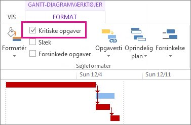 Afkrydsningsfeltet Kritiske opgaver på båndet og fremhævede Gantt-søjler i Project 2013