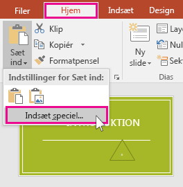 viser indstilling for Indsæt speciel