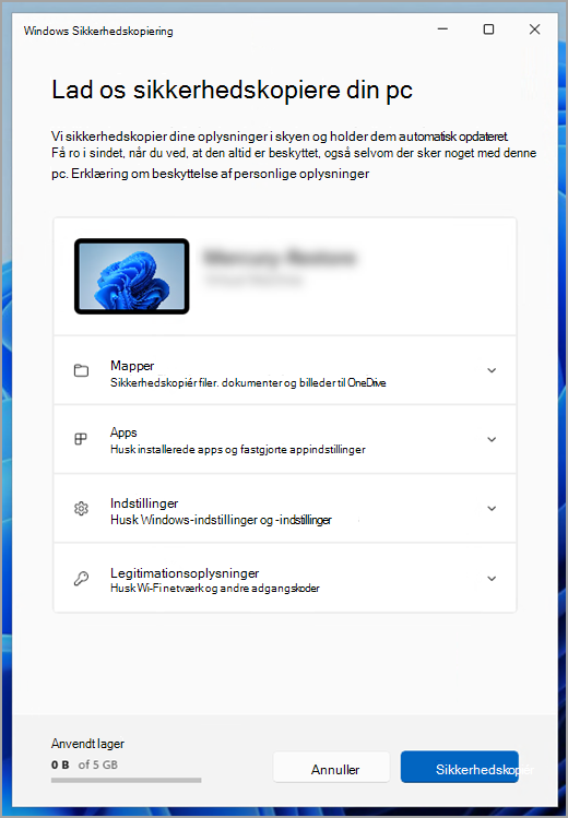Windows Sikkerhedskopiering på Windows 11.