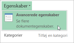 Åbning af Avancerede egenskaber