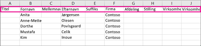 Sådan ser .csv-eksempelfilen ud i Excel.