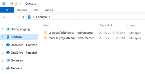 Skærmbillede, der viser synkroniseringsmapper til OneDrive og websteder.