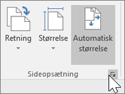 Skærmbillede af værktøjslinjen Sideopsætning med Tilpas automatisk valgt