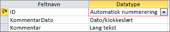 Primær nøgle af typen Automatisk nummerering med navnet Id i en tabel i Access i Designvisning