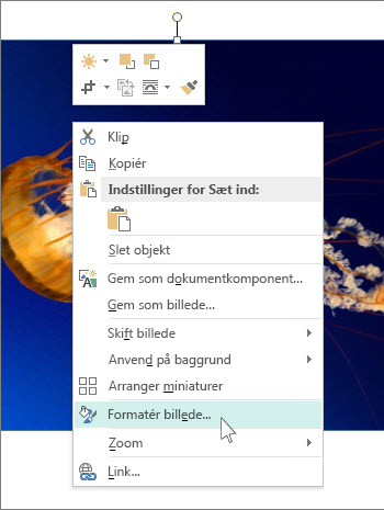 Skærmbillede af indstillingerne for Formatér billede i Publisher.