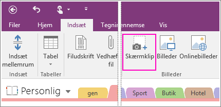 Skærmbillede af knappen Indsæt Skærmklip i OneNote 2016