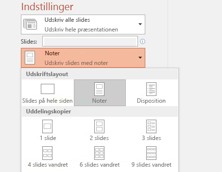 Skærmbillede af indstillingen Udskriv noter